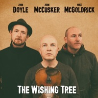 The Wishing Tree by Mike McGoldrick, John McCusker & John Doyle on Apple Music
