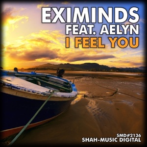 I Feel You (feat. Aelyn)