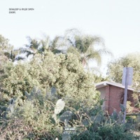 Doors - Single - Devaloop & Ryler Smith