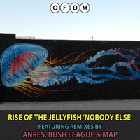 Nobody Else (Bush League Remix) - Single - Rise Of The JellyFish & Bush League