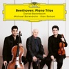 Michael Barenboim Piano Trio No. 3 in C Minor, Op. 1 No. 3: I. Allegro con brio Beethoven Trios