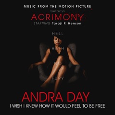I Wish I Knew How It Would Feel to Be Free (From Tyler Perry's "Acrimony") - Single