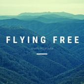 Flying Free artwork