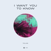 I Want You to Know (Extended Mix) artwork