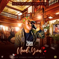 Need U - Single - Zdea