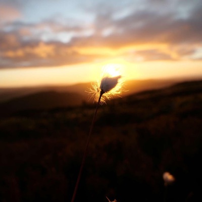 Paradise (feat. Woods) - Single