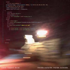 Steel Tipped Dove - inside.day instrumental 1