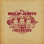 The Wailin' Jennys - Long Time Traveller