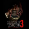 Shawn Wick 3