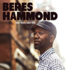 One Love, One Life - Beres Hammond