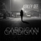 Cardigan (Instrumental) artwork
