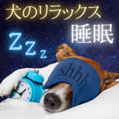 犬のリラックス睡眠 - やさしい森の音でペットもぐっすり眠る・犬用睡眠導入音楽 - 動物スリープ