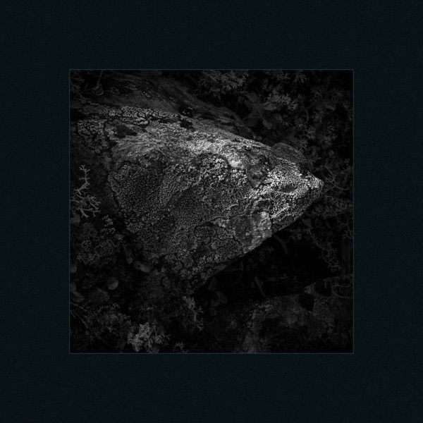 Planet Plankton - EP