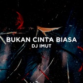 Bukan Cinta Biasa artwork