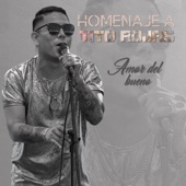 Amor del Bueno (Homenaje a Tito Rojas) artwork