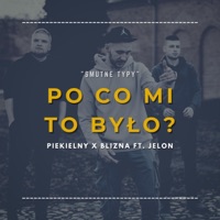Po co mi to było? (feat. Jelon) - Single - TMK aka Piekielny & Blizna