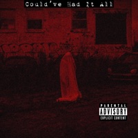 Could've Had It All - Single - prettyspookyghost