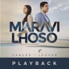 Maravilhoso (Playback), 2019