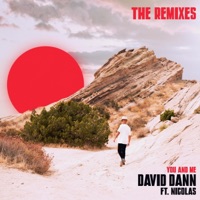 You & Me (Remixes) - Single - David Dann, Lipless & Nicolas