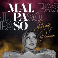 Mal Paso (feat. Paloma) - Single - Dj Fiuger