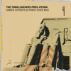 Amber (Hydra's Altered State Mix) [The Thrillseekers Presents] - Single