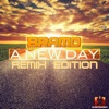 A New Day (Remix Edition)