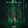 I'm Watching You - Single