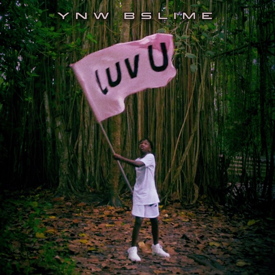 Cover artwork for Luv U
