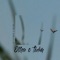 Olha o tuim (feat. OCASOreip) - Maykol Deoff lyrics