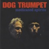 Dog Trumpet - Speed of Light