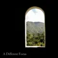 A Different Focus