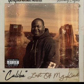 B's in My Blood (feat. Muddas & Queen Nef) Wb Caliba