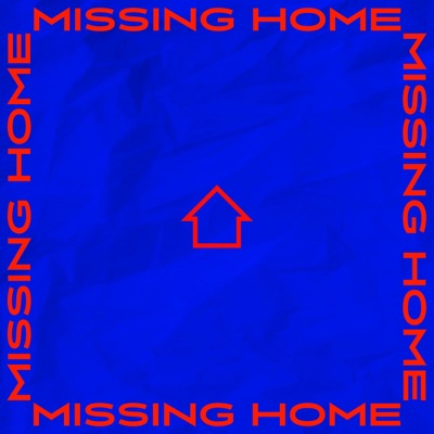 Missing Home (feat. Seba, HAIDARA & AdriLeLocksé) - Single