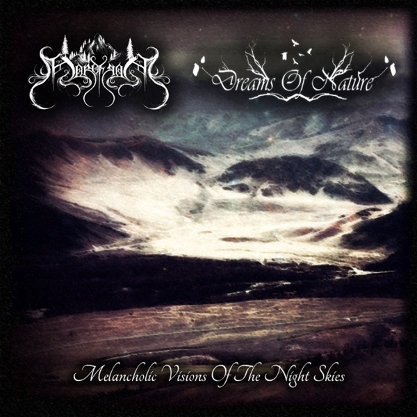 Melancholic Vision of the Night Sky - Single