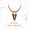 Burial (Skrillex & Trollphace Remix) cover art