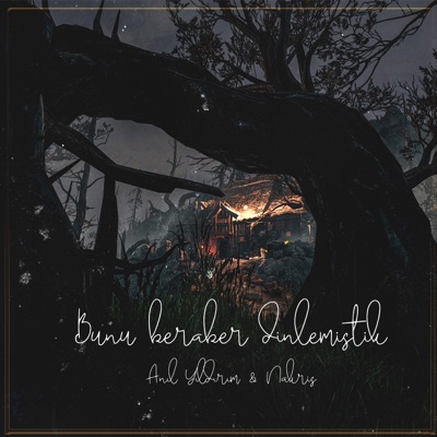Bunu Beraber Dinlemiştik (feat. Anıl Yıldırım) - Single