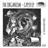 The Organism - Gypsy (Tim Engelhardt Remix)