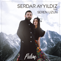 Serdar Ayyıldız - Pulim (feat. Seren Uzun) artwork