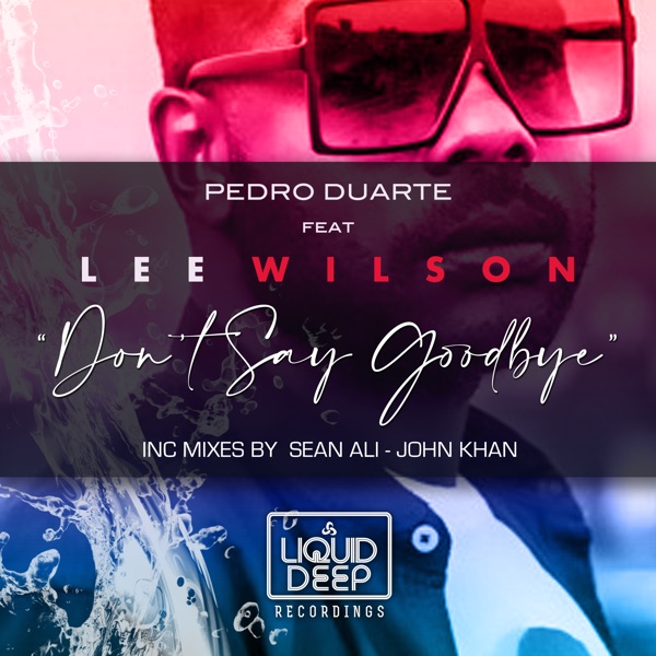 Don't Say Goodbye (feat. Lee Wilson)