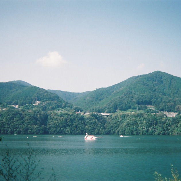THE TRAVELING LIFE - 小山田壮平のアルバム - Apple Music