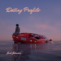 Dating Profile - Single - Josh Johnson
