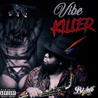 Vibe Killer - Single - Bizkit