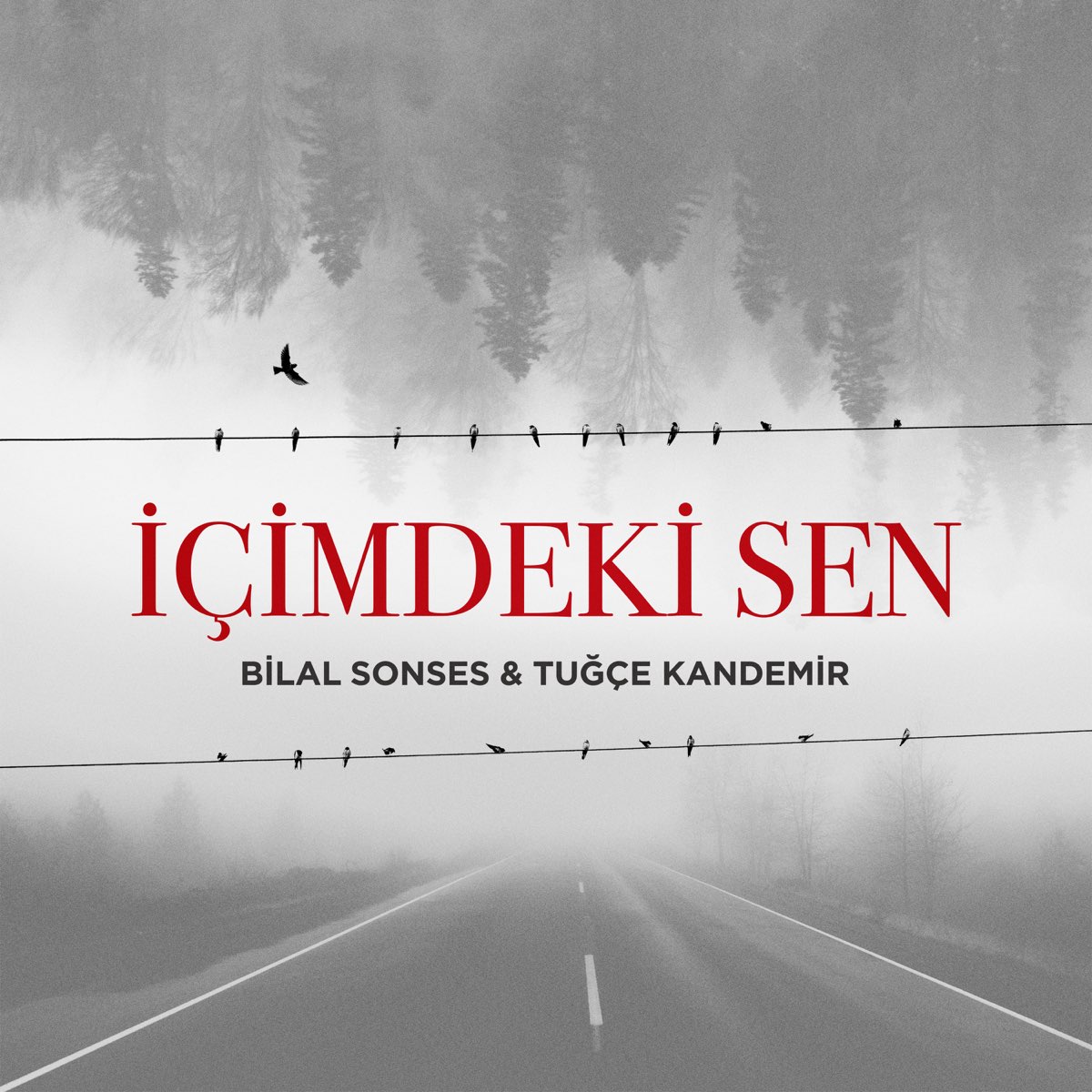 Слушать сень. Icimdeki Sen Bilal. Ben Icimdeki Seni. Bilal_Sonses_feat_Tugce_Kandemir_-_Icimdek. Ol Sen emes обложка.