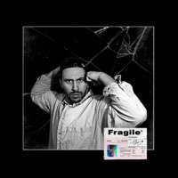 Fragile Freestyle - Single - Paul Hernandez