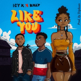 Like You (feat. Killy) Icy-K
