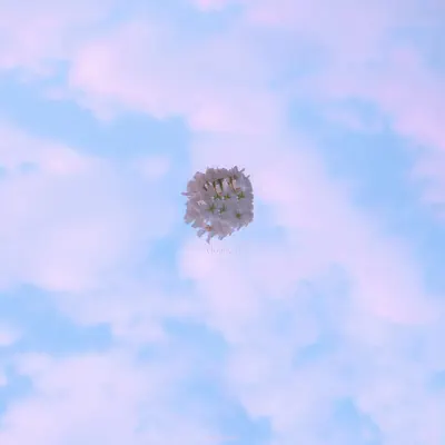Listen to Clouded by Laffey