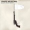 Davidson County Police - Travis Meadows lyrics