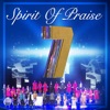 Spirit of Praise, Vol. 7 (Live)