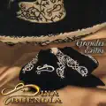 Porque será