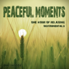 Moonlight Sonata (First Movement from Piano Sonata No. 14, Op. 27 No. 2) - Luke Woodapple